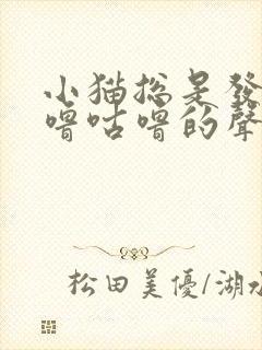 小猫总是发出咕噜咕噜的声音封面