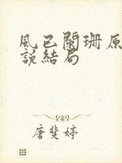 风已阑珊原著小说结局封面