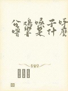 公鸡嗓子呼噜呼噜响是什么病