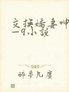 交换娇妻呻吟1—9小说封面