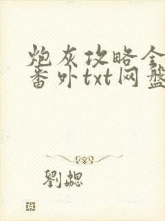 炮灰攻略全本加番外txt网盘