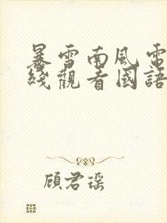 暴雪南风电影在线观看国语免费完整