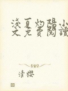 浅夏灼阳小说全文免费阅读封面