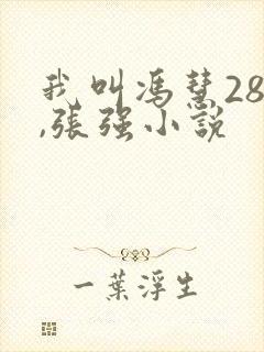 我叫冯慧28岁,张强小说