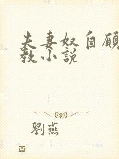 夫妻奴自愿被调教小说封面