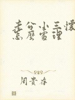 老公小三怀孕了怎么处理