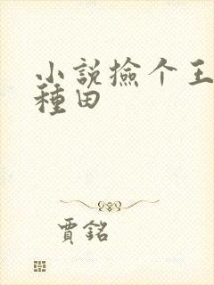 小说捡个王爷来种田封面