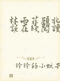 林雨菲顾北潇小说在线阅读