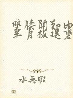 双膝关节内外侧半月板退变