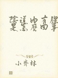 阴道内有腥臭味是怎么回事封面