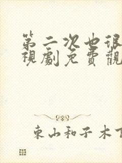 第二次也很美电视剧免费观看全集