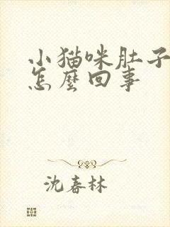 小猫咪肚子大是怎么回事