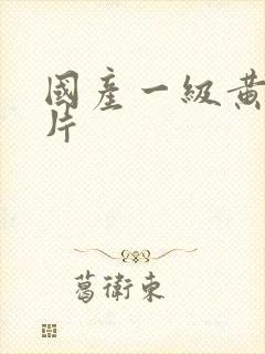 国产一级黄色淫片封面