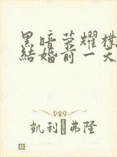 黑暗荣耀朴妍珍结婚前一天原声封面