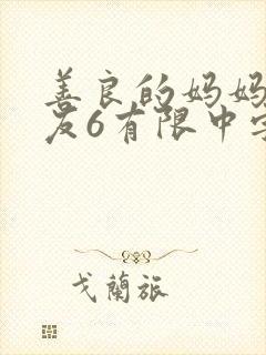 善良的妈妈的朋友6有限中字