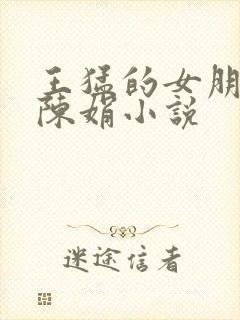 王猛的女朋友妈陈娟小说封面