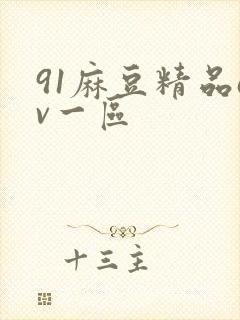 91麻豆精品av一区