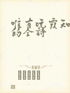 唯有晚霞知我心的全诗