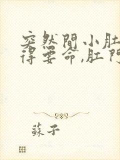 突然间小肚子疼得要命,肛门也疼