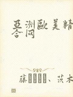 亚洲欧美精品综合网