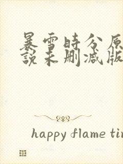 暴雪时分原著小说未删减版