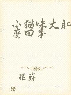 小猫咪大肚子怎么回事