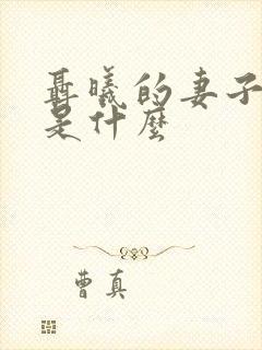 聂曦的妻子结局是什么