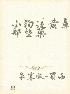 小狗流黄鼻涕用哪些药封面