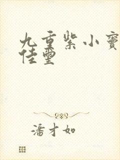 九重紫小窦昭刘佳玺