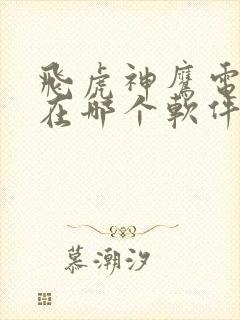 飞虎神鹰电视剧在哪个软件上看