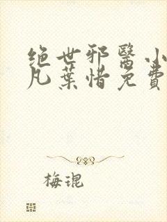 绝世邪医小说林凡叶惜免费阅读全文