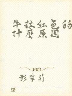 牛拉红色的尿是什么原因