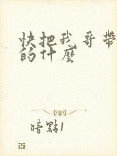 快把我哥带走讲的什么