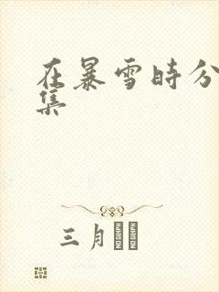 在暴雪时分第一集
