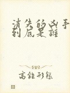 消失的凶手凶手到底是谁封面