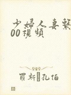 少妇人妻系列500视频