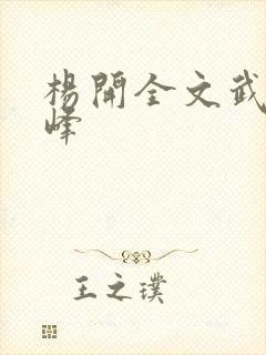 杨开全文武炼巅峰封面