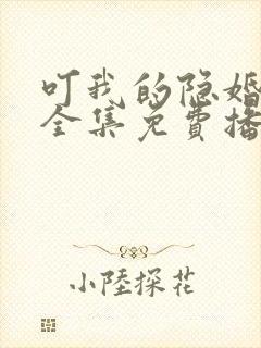 叮我的隐婚老公全集免费播放动漫