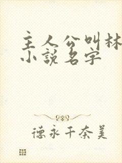 主人公叫林天的小说名字