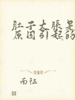 肚子大胀是什么原因引起的