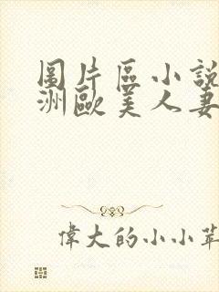 图片区小说区亚洲欧美人妻