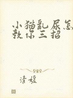 小猫乱尿怎么办教你三招