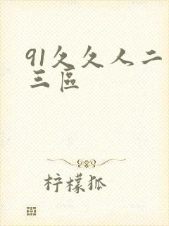 91久久人二区三区