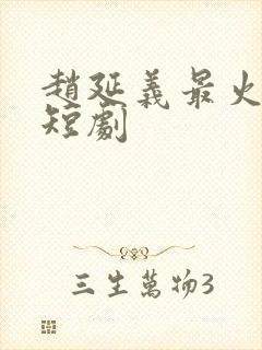 赵延义最火十部短剧