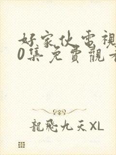 好家伙电视剧40集免费观看完整版高清