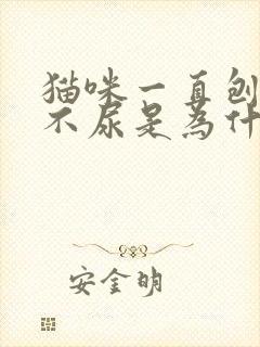 猫咪一直刨猫砂不尿是为什么