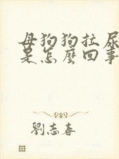 母狗狗拉尿带血是怎么回事