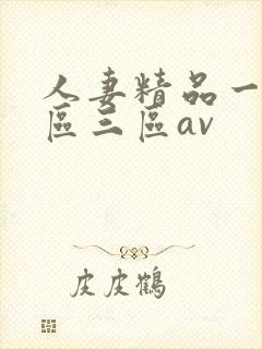 人妻精品一区二区三区av