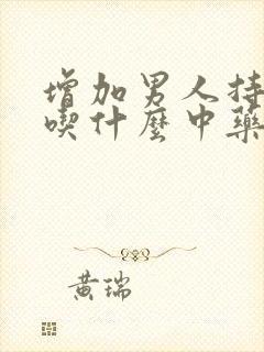 增加男人持久力吃什么中药