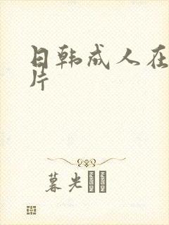 日韩成人在线毛片